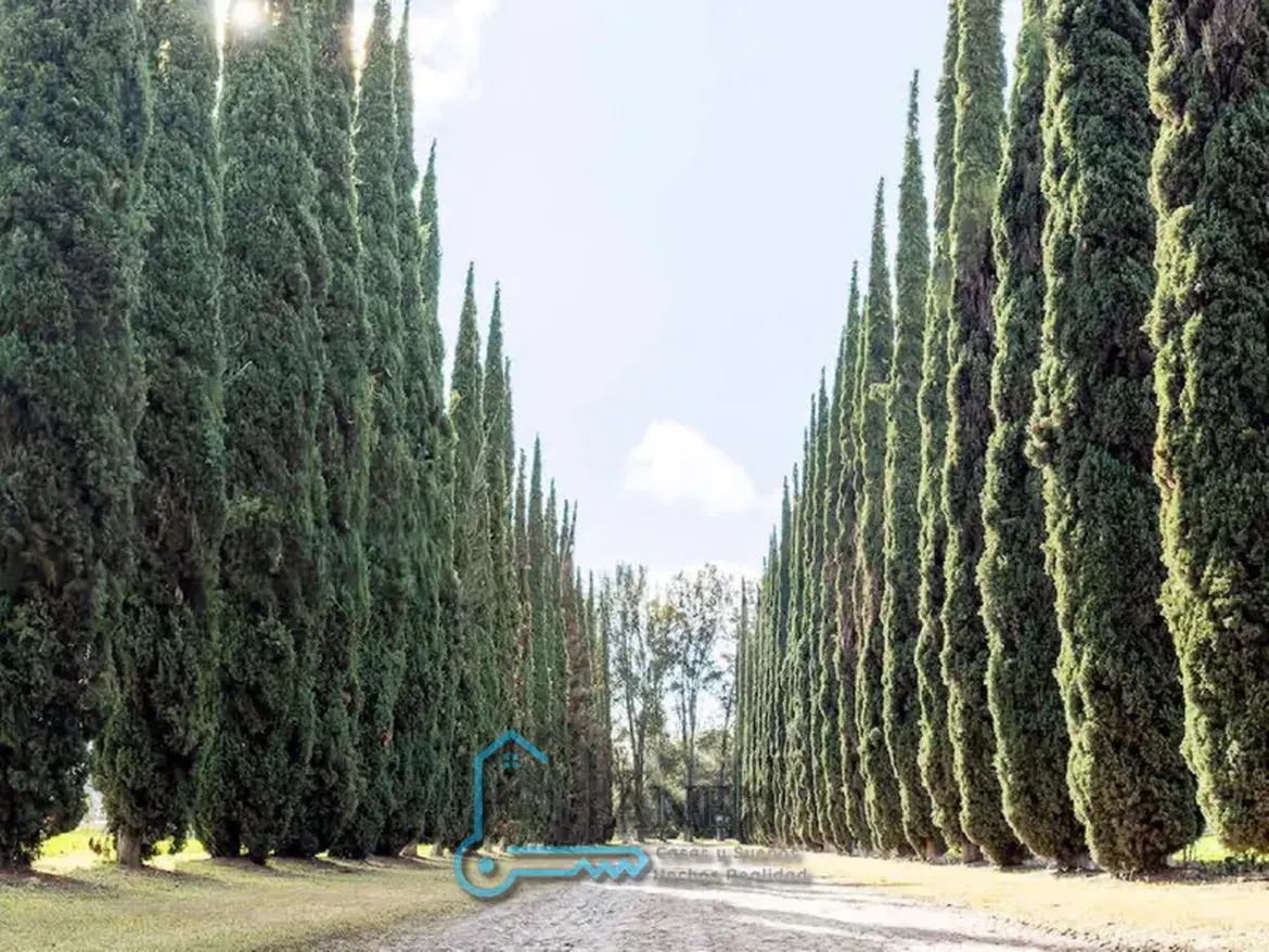 Querétaro Moderno — Inversión y Plusvalía Real