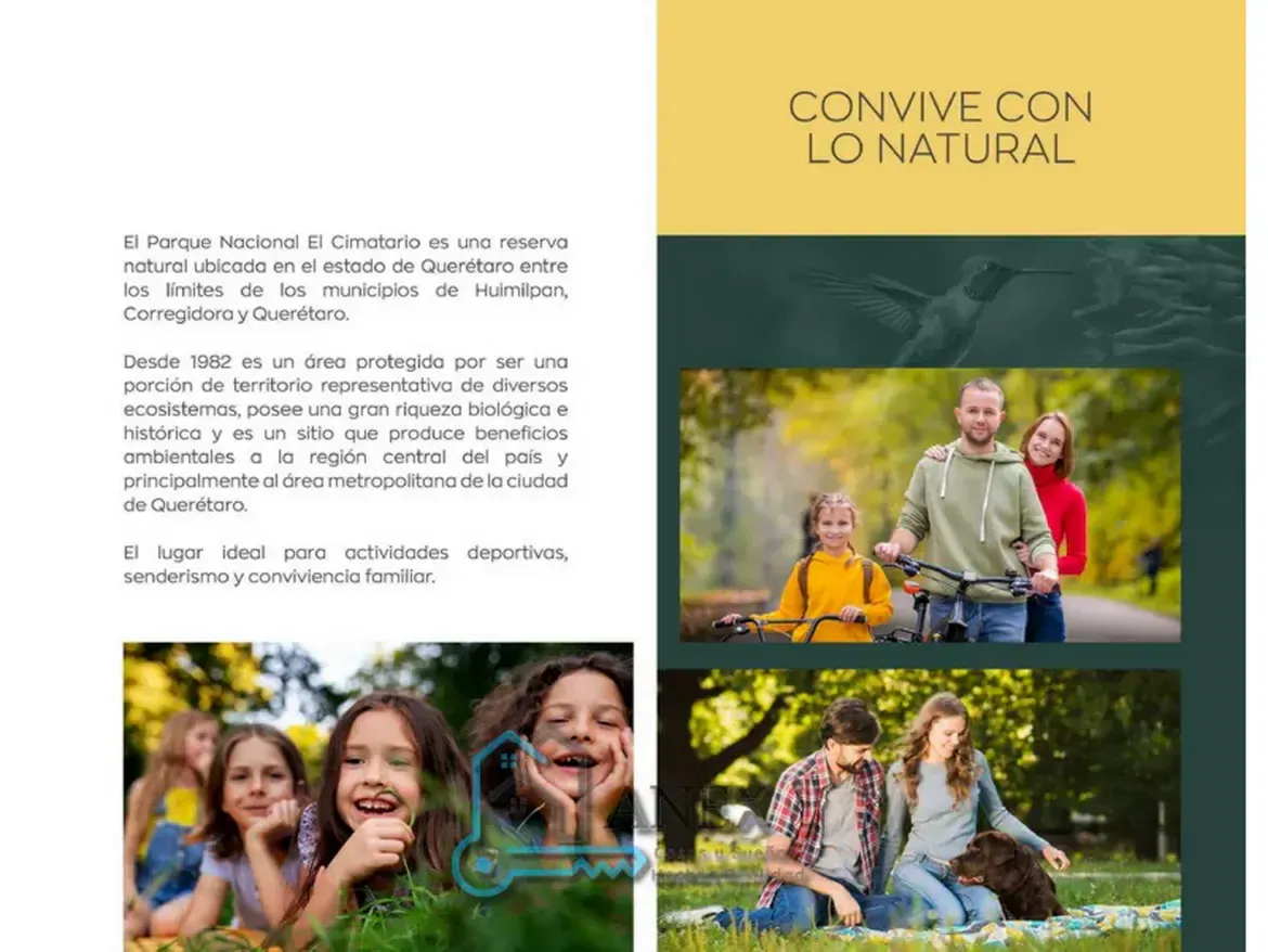 Amenidades