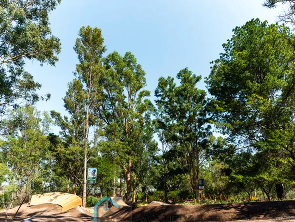 Amenidades