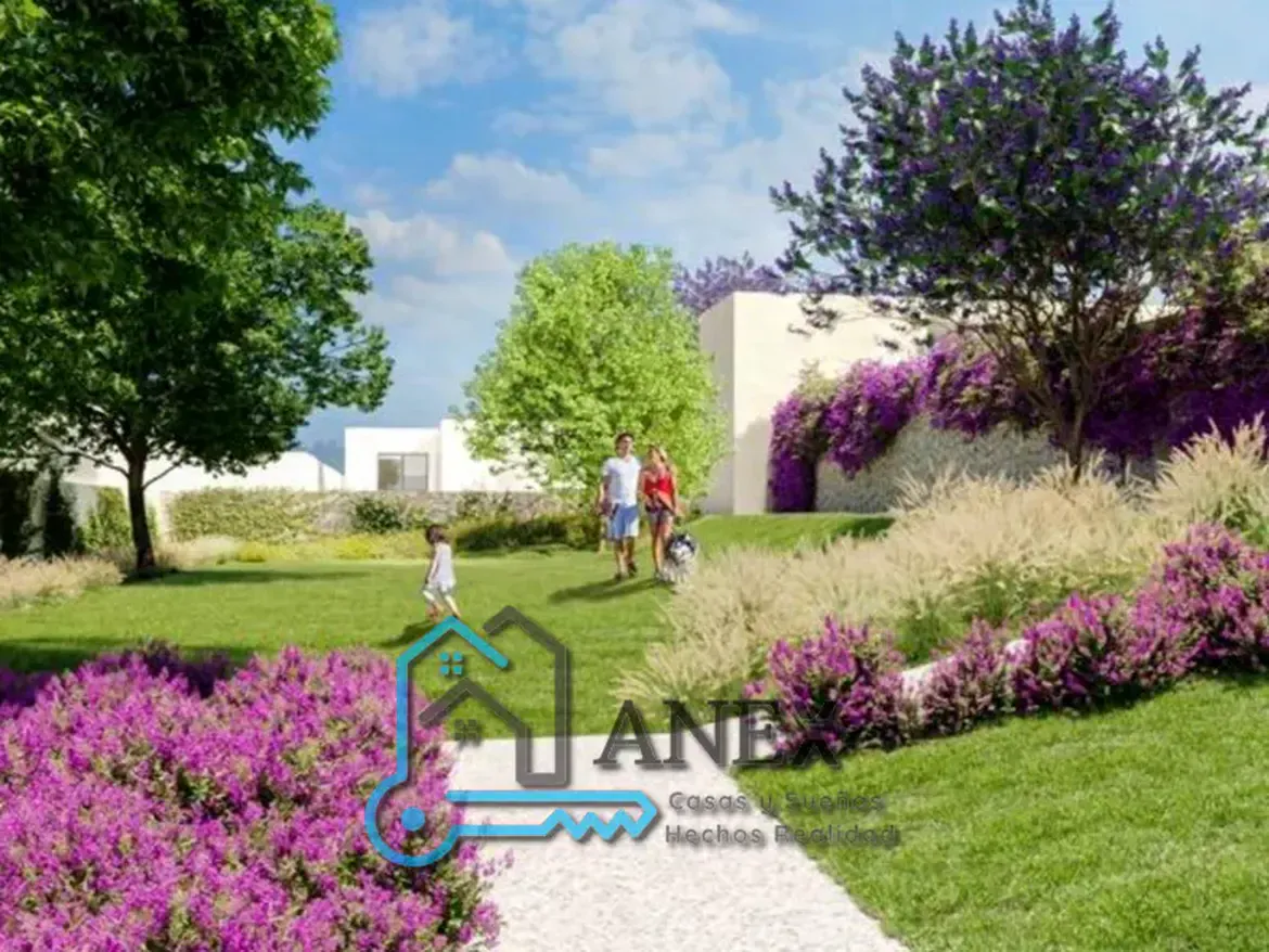 Inmobiliaria Anex
