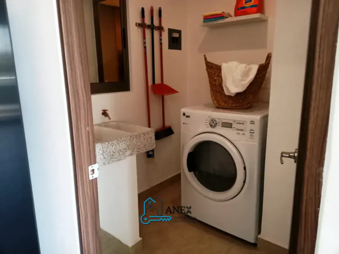 VITEA-GARDENS-AGAVE-008