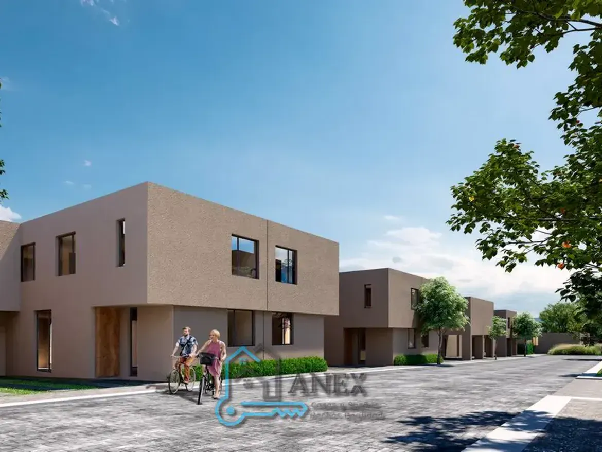 Inmobiliaria Anex