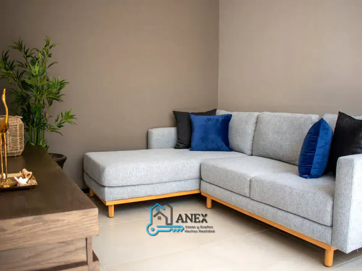 Inmobiliaria Anex
