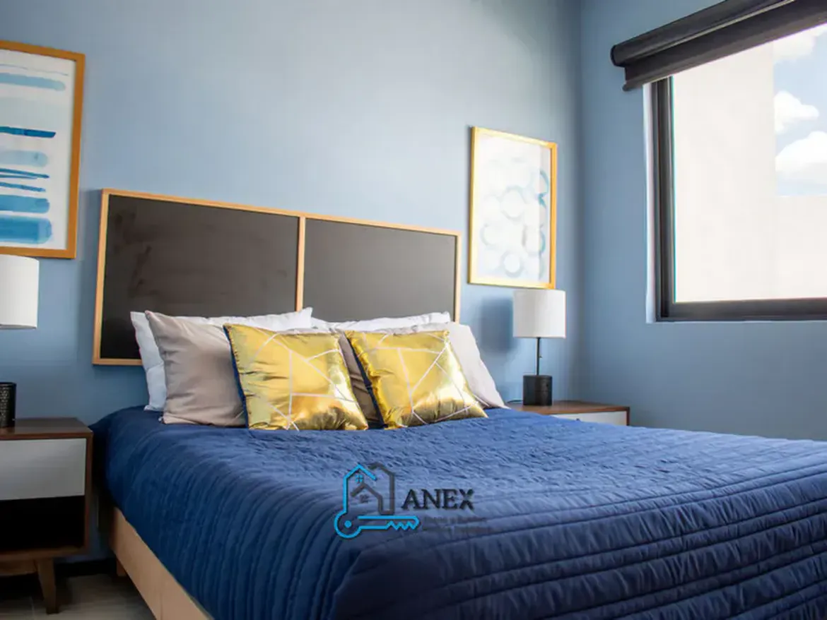 Inmobiliaria Anex