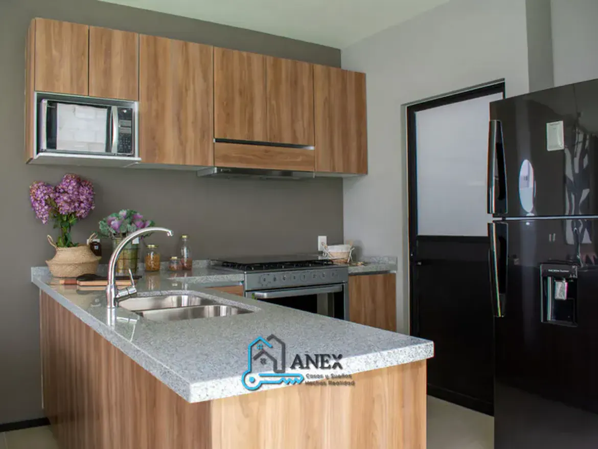 Inmobiliaria Anex