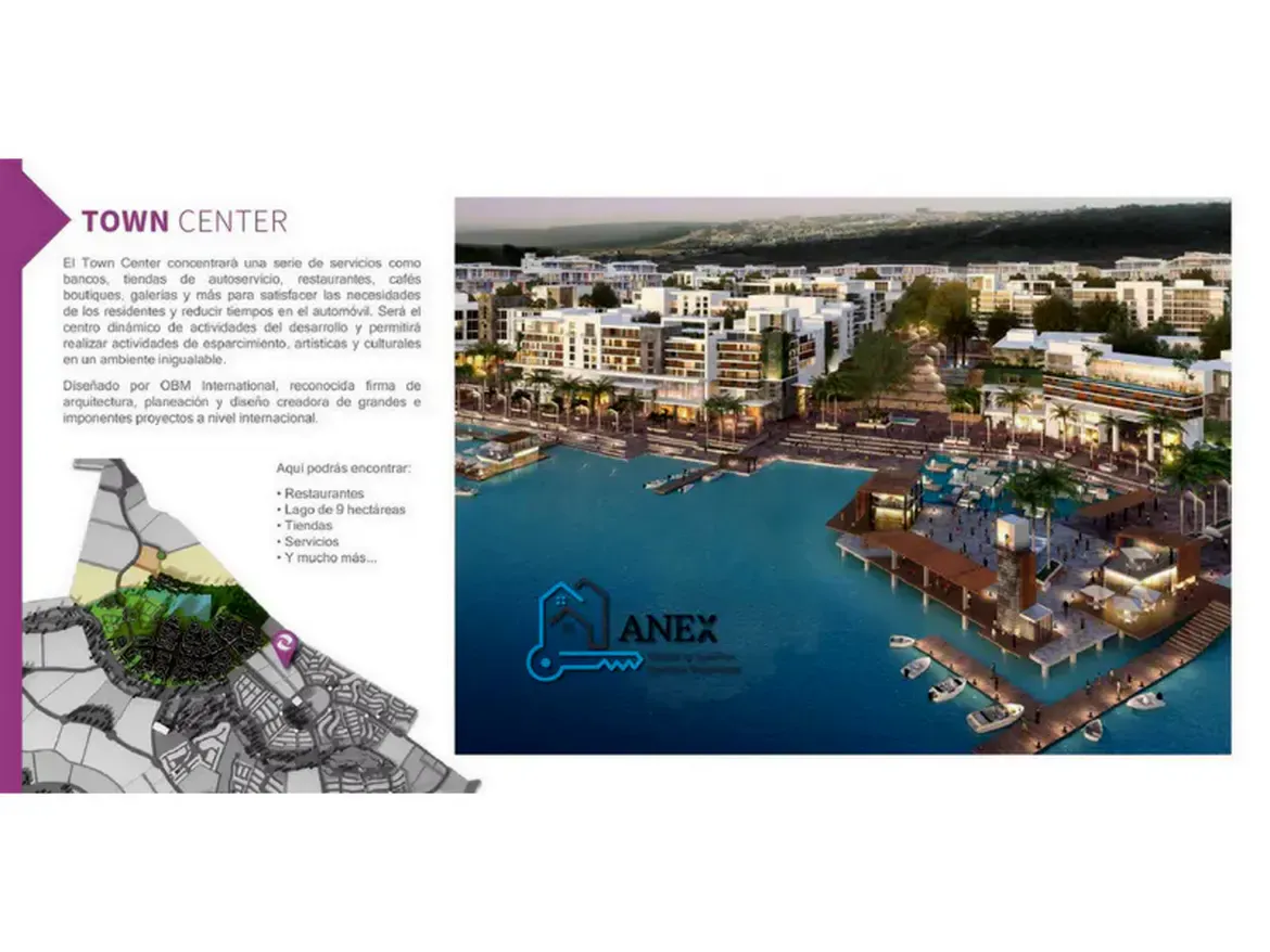 Inmobiliaria Anex