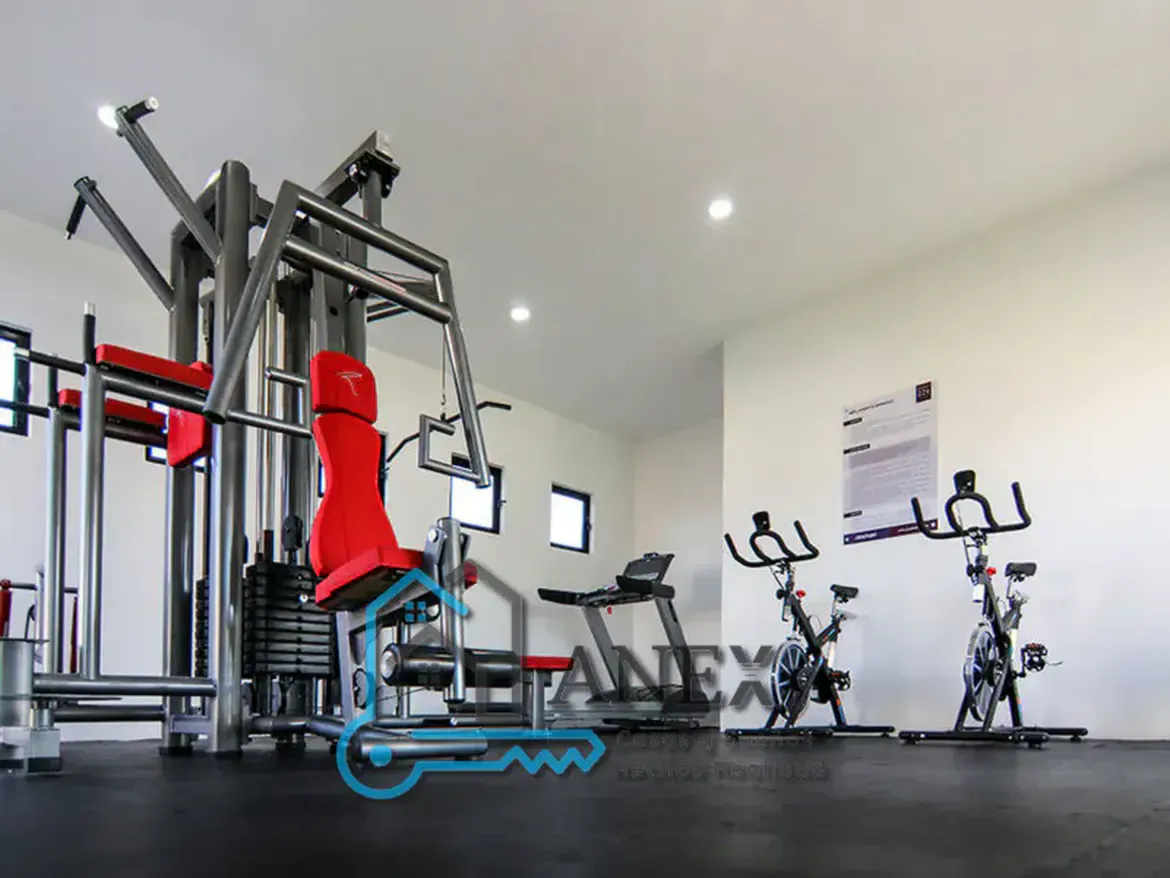 Inmobiliaria Anex